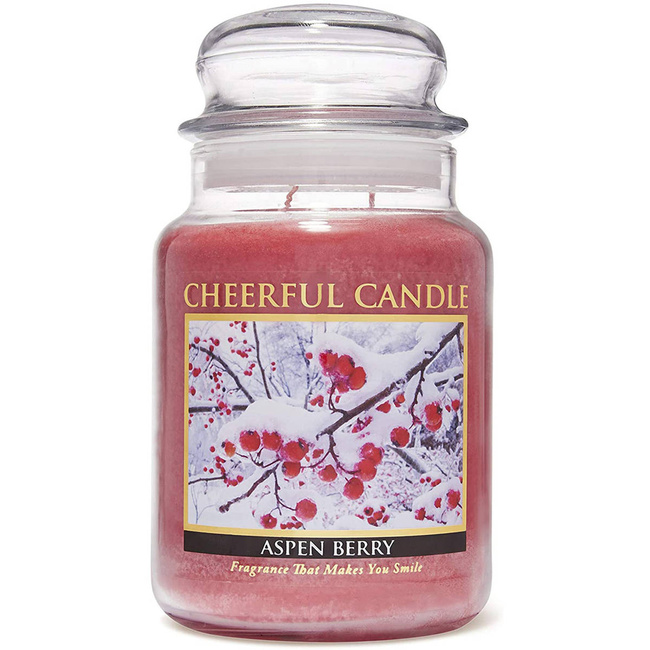 Cheerful Candle большая ароматическая свеча в стеклянной банке 2 фитиля по 24 унции 680 г - Aspen Berry 