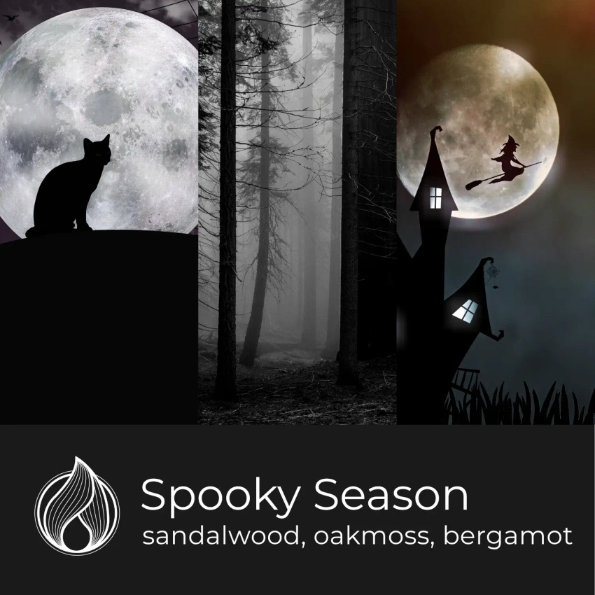 Candle World bougie de soja parfumée pot Spooky Season 110 g Forêt sombre