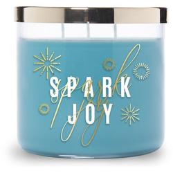 Vela profumata soja Colonial Candle - Spark Joy