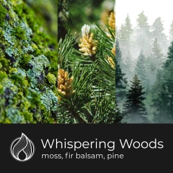 Candle World candela profumata di soia forestale 3 stoppini Whispering Woods 460 g