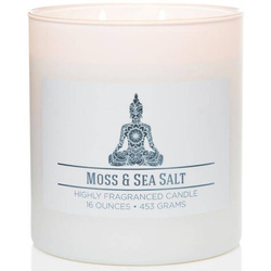 Colonial Candle Wellness grand pot bougie parfumée mélange de soja 16 oz 453 g - Moss & Sea Salt