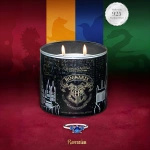 Charmed Aroma jewelry candle Harry Potter Hogwarts Ravenclaw Ring