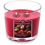 Oválná vonná svíčka Colonial Candle 226 g - Apple Orchard