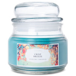 Colonial Candle medium scented Terrace jar candle 9 oz 255 g - Crisp Breeze