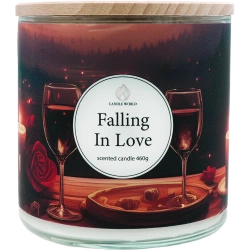 Candle World naar soja geurende valentijnskaars 3 lonten Falling in Love 460 g