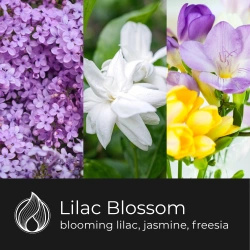 Candle World vonný sójový vosk Lilac Blossom 50 g Černý bez