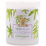 Bougie de soja parfumée en verrea agrumes - Verbena Lemon Ted Friends