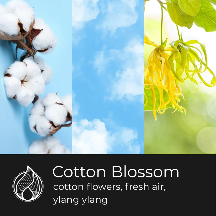 Candle World candela di soia profumata barattolo Cotton Blossom 120 g Cotone