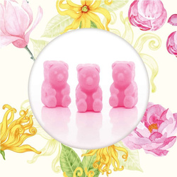 Cera perfumada soia orsetti - Ylang Wild Roses Ted Friends