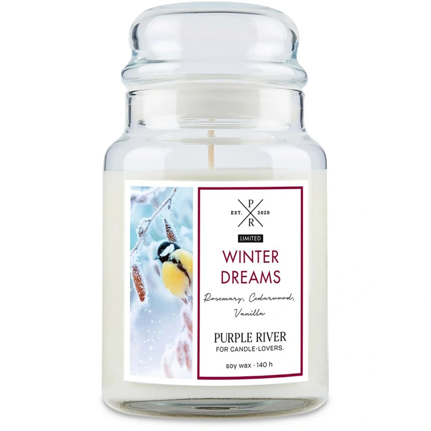 Soja geurkaars Winter Dreams Purple River 623 g