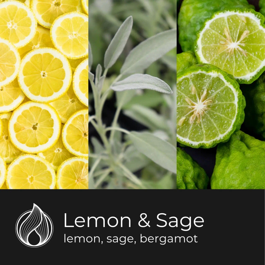 Candle World soja-Duftkerze im Glas Lemon Sage 120 g Salbei-Zitrone