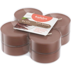 Bolsius True Scents scaldaprofumi maxi in policarbonato 6 cm marrone 8 pz - Legno di Oud Agarwood