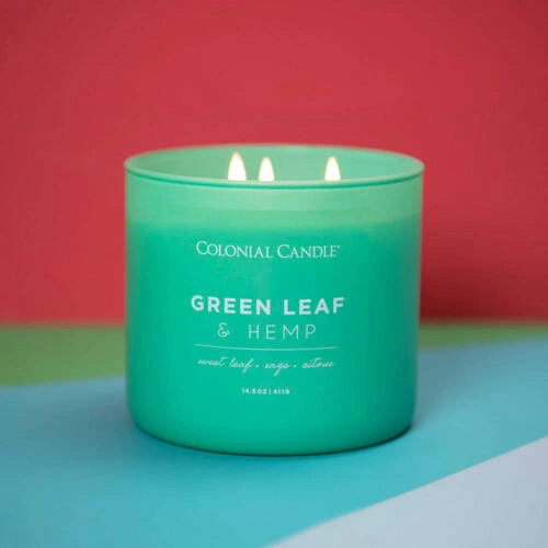 Colonial Candle Pop Of Color Duftkerze aus Sojabohnen im Glas 3 Dochte 14,5 oz 411 g - Green Leaf & Hemp