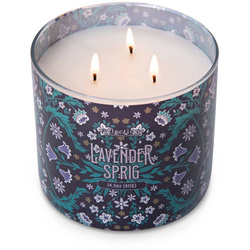 Colonial Candle Deco Collection candela di soia profumata in vetro 3 stoppini 14,5 oz 411 g - Lavender Sprig