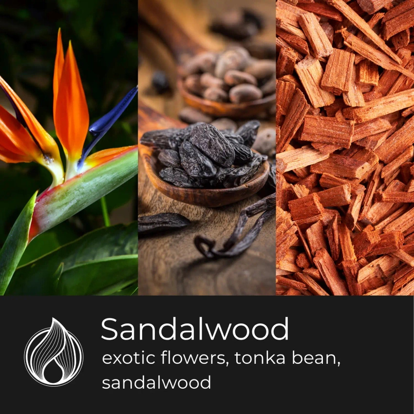 Candle World sojová vonná svíčka sklenice Sandalwood 120 g Santalové dřevo