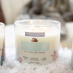 Duftkerze Weihnachten soja 3 Docht Aspen Fir Mint Candle-lite
